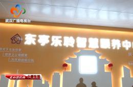 中宣部采访团到访武汉东亭社区人生就是博官网智慧保养中心